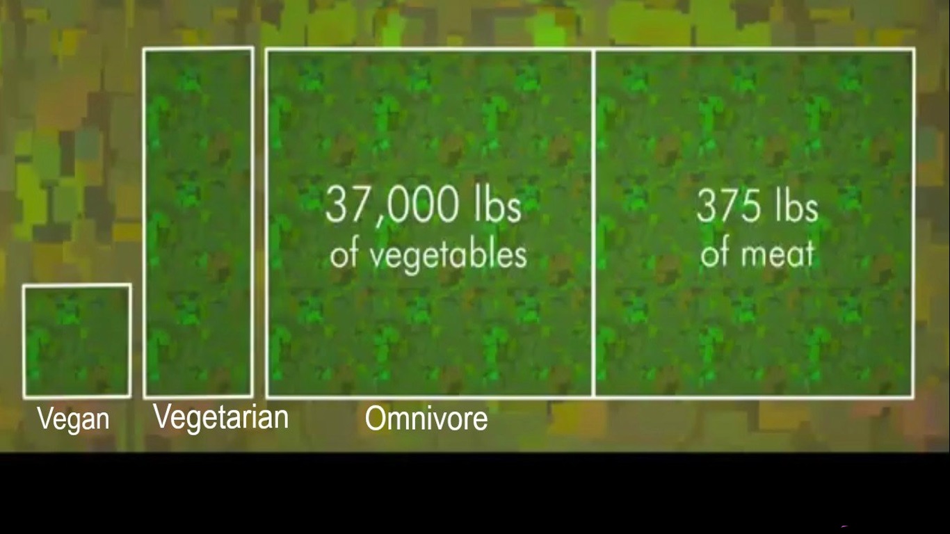 Land_Use.jpg