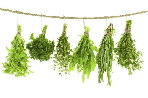 herbs-b37fa0a0d9f55b12.jpg