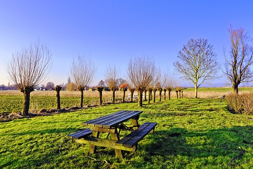 picnic-table-3161328__340.jpg