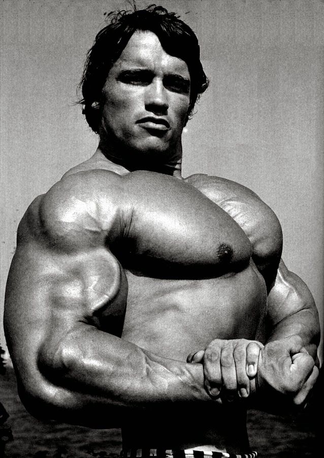 POSTERNEST Arnold Alois Schwarzenegger Body Builder Gym Motivation Poster  Matte Finish Paper Print 12 x18 Inch (Multicolor) -4114 : Amazon.in: Home &  Kitchen