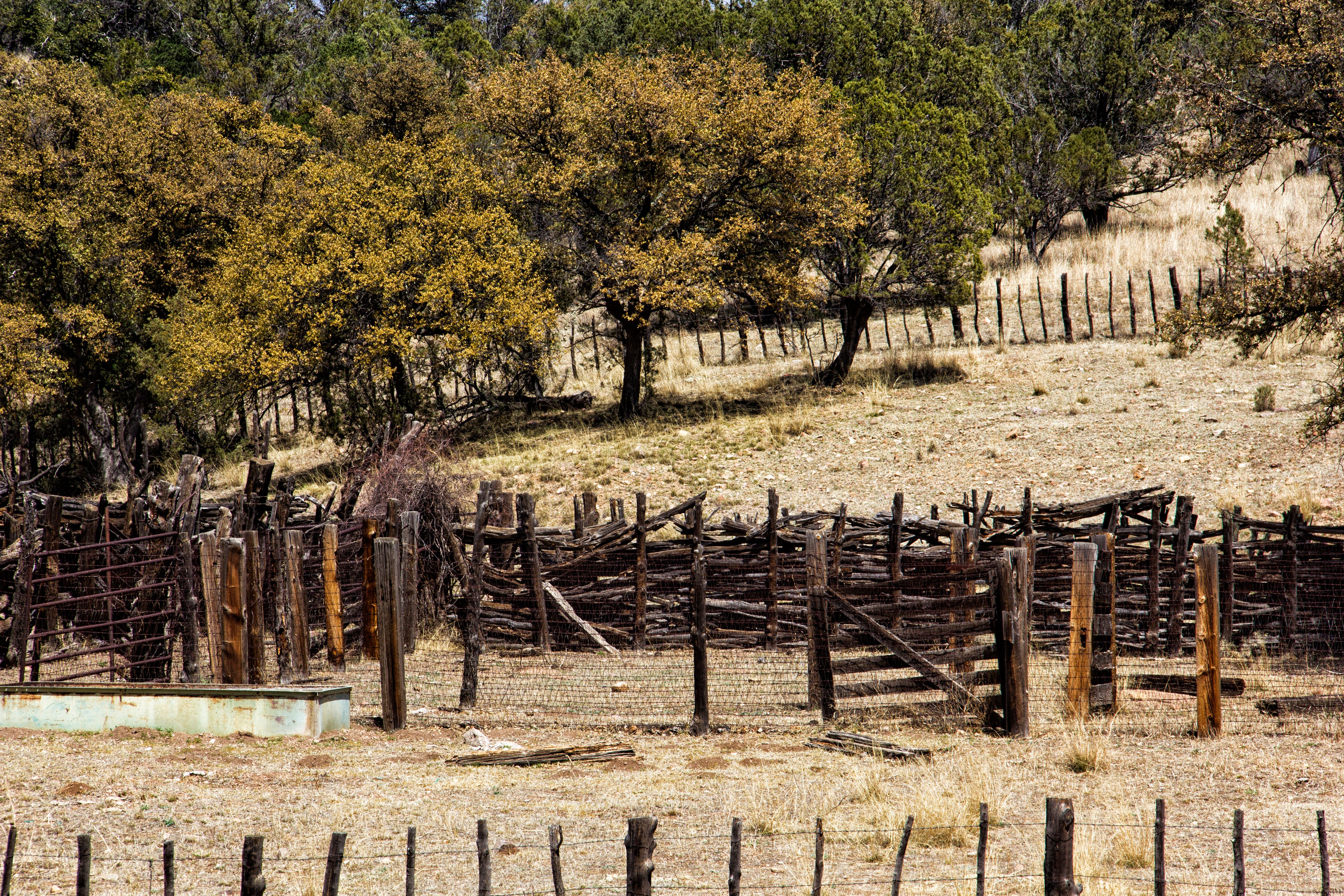 RusticFence.jpg