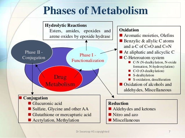 drug-metabolism-7-638.jpg