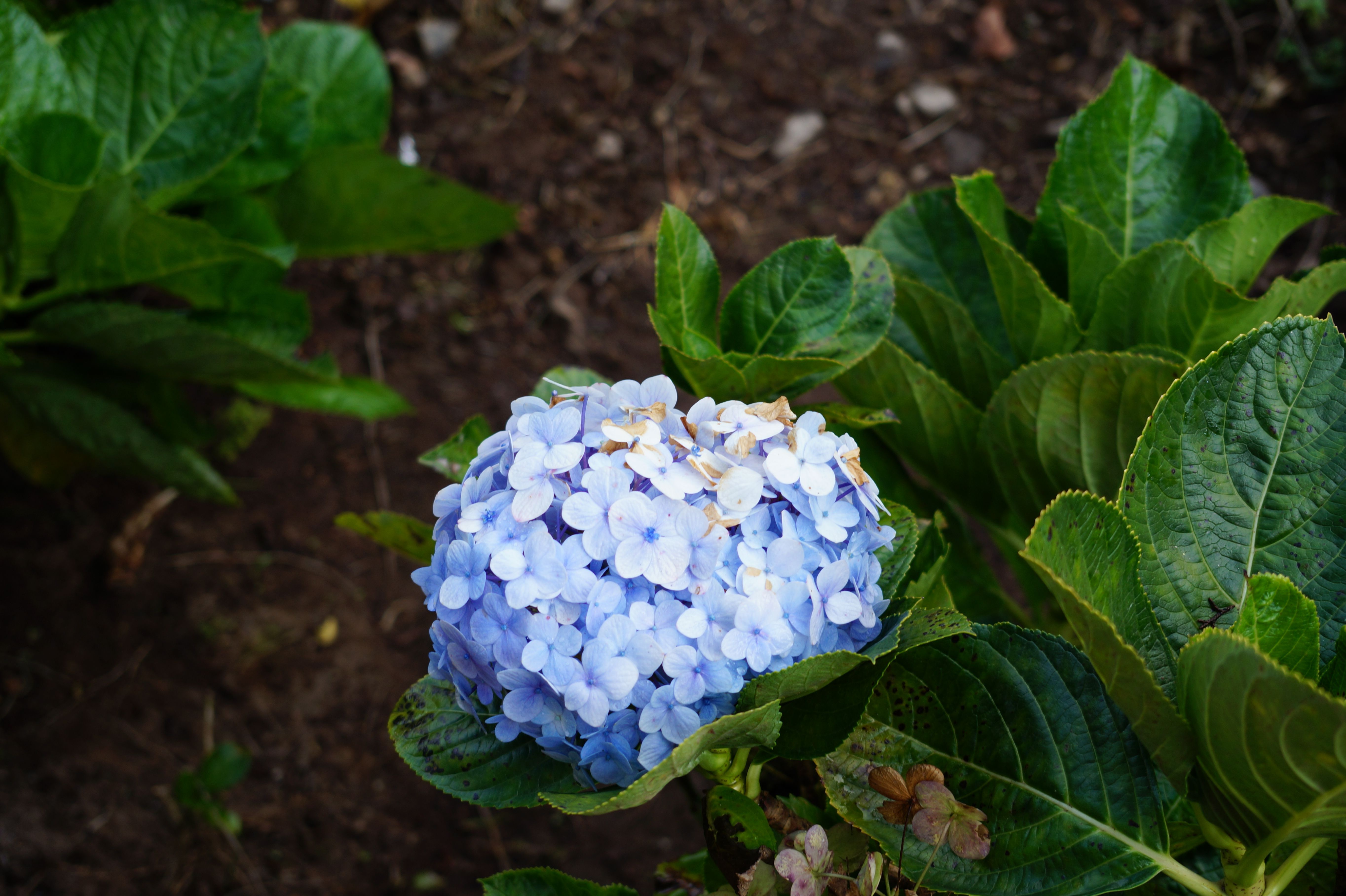 DSC03397.JPG