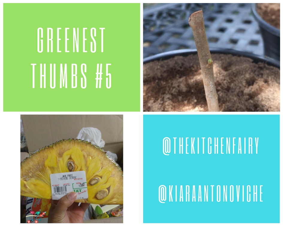 Greenest thumbs #5.jpg