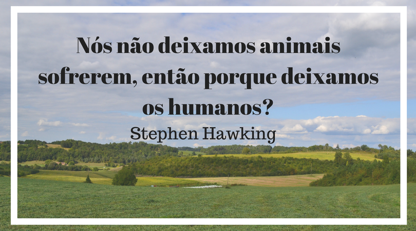 Nós não deixamos animais sofrerem, então porque deixamos os humanos_Stephen Hawking.png