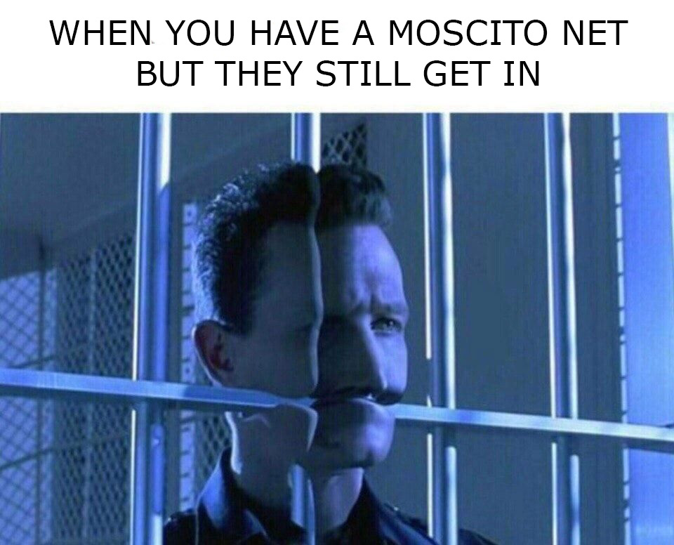 moscito.jpg
