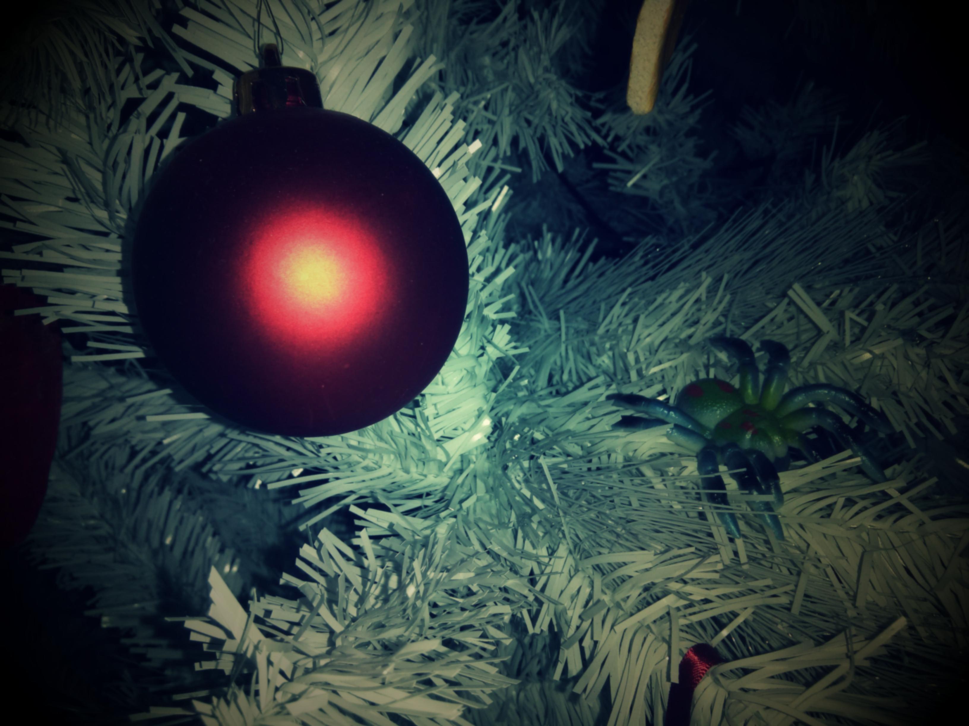 Spider in a Christmas tree (186/365)
