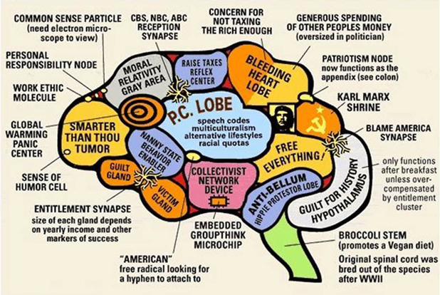Liberal-Brain.jpg