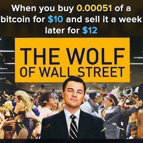 wolf of wall steer.jpg