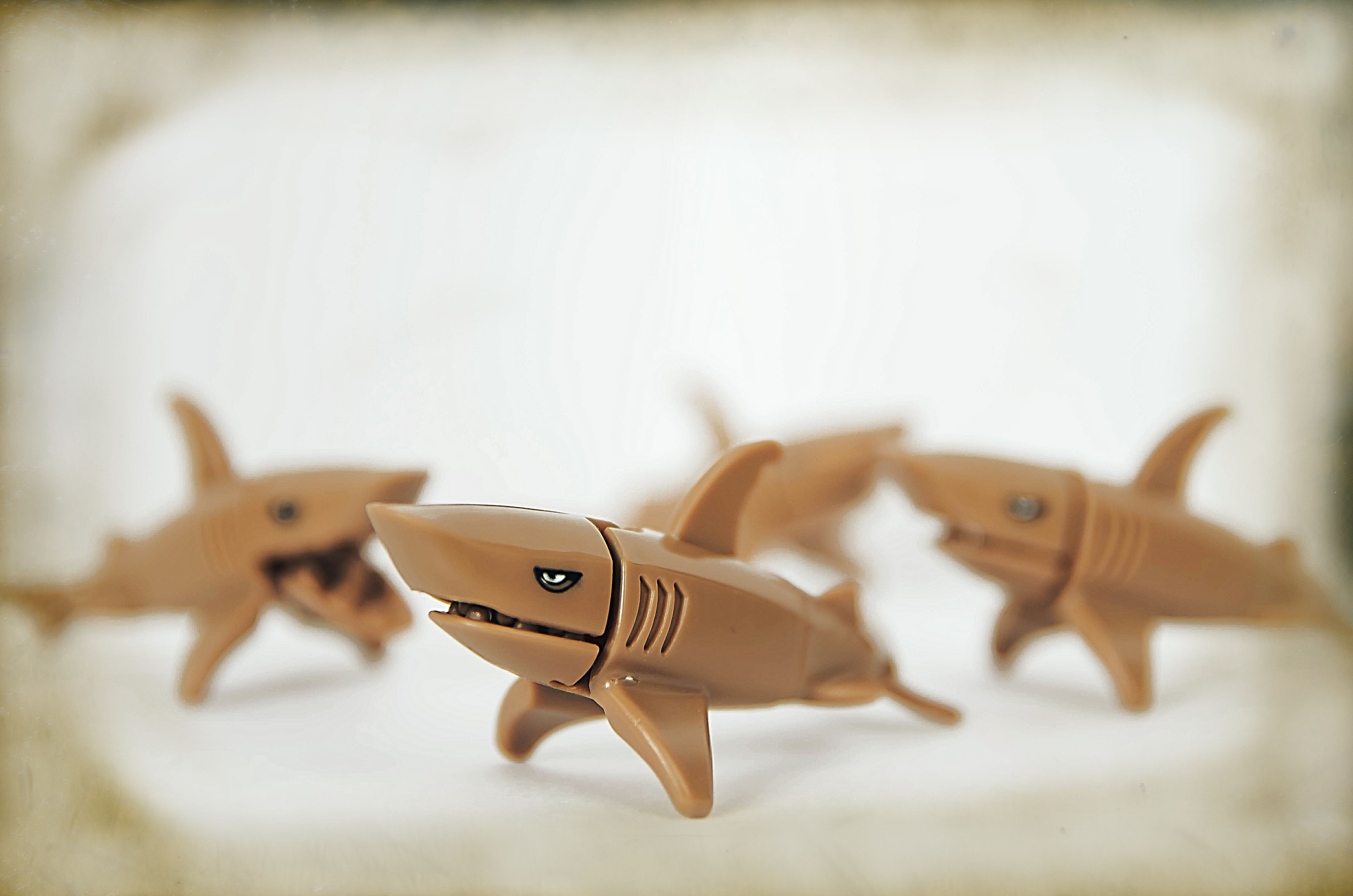 Киндер акулы. Киндер Натунс акулы. Киндер акулы 1995. Игрушки из киндера акулы. Коллекция Киндер акулы.