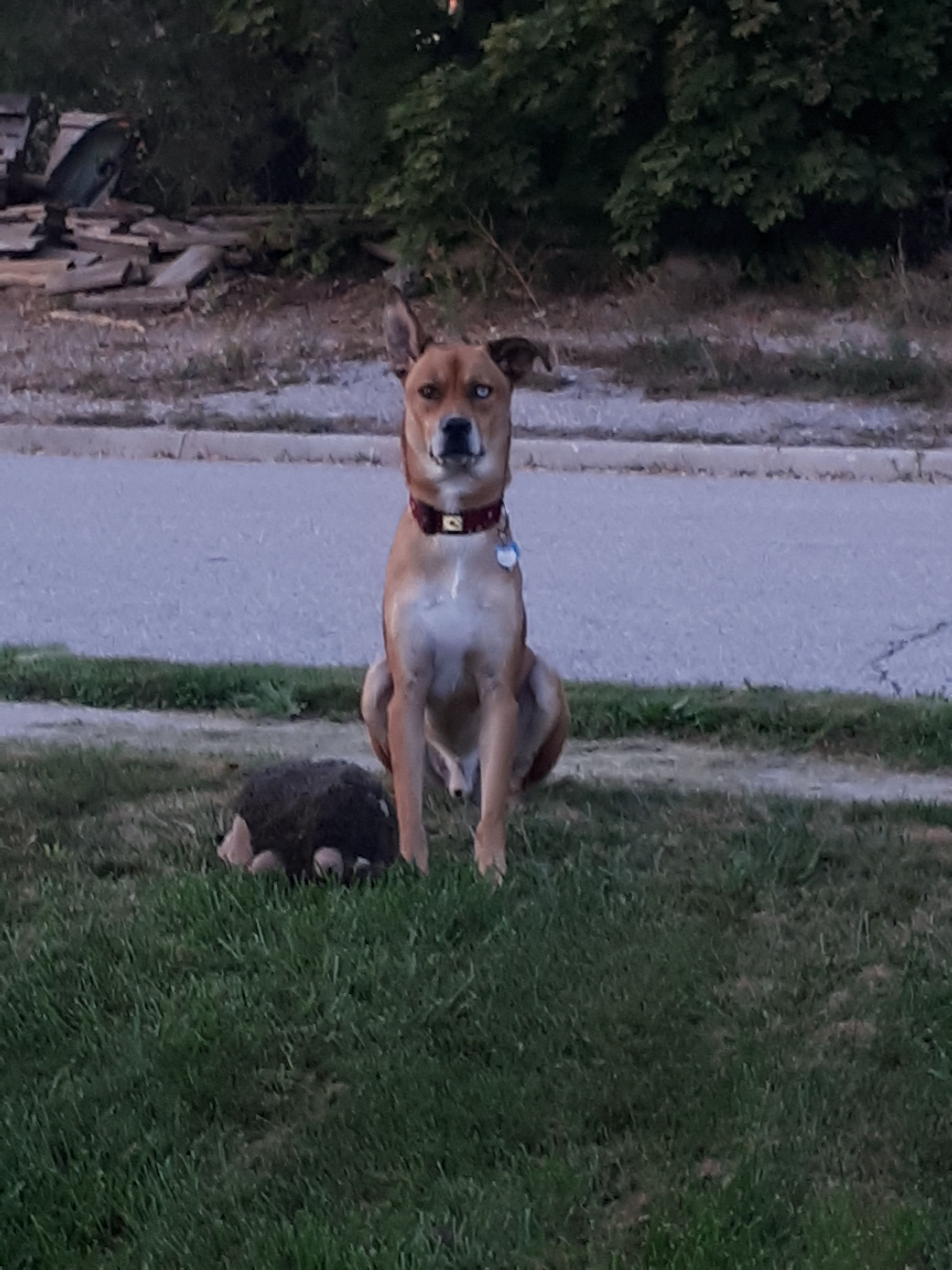 20170925_190755.jpg