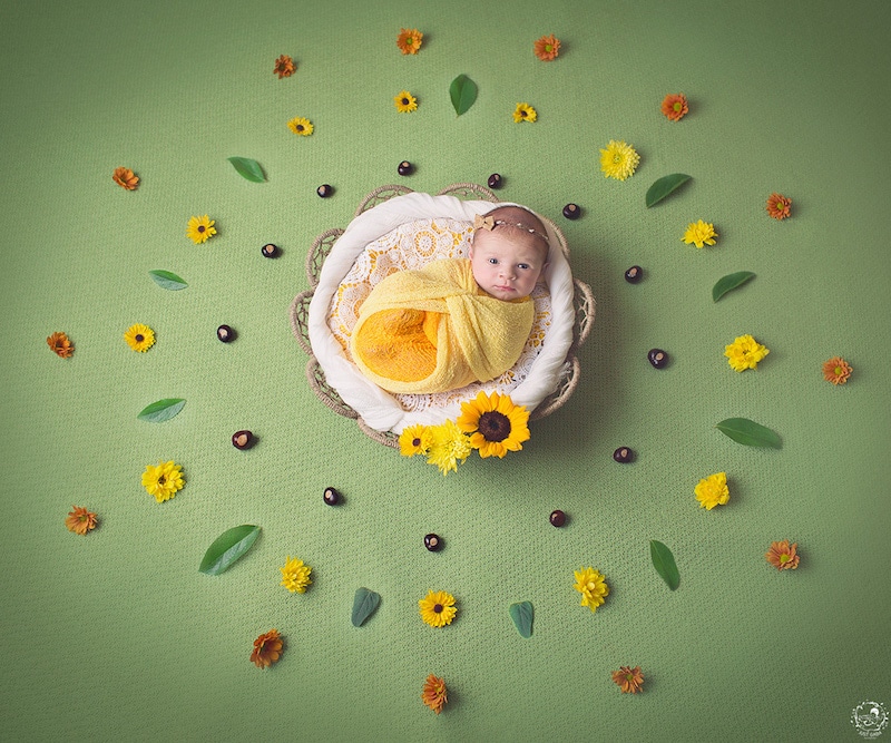 newborn-photos-nature-mandalas-10.jpg