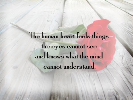 The Human Heart.jpg