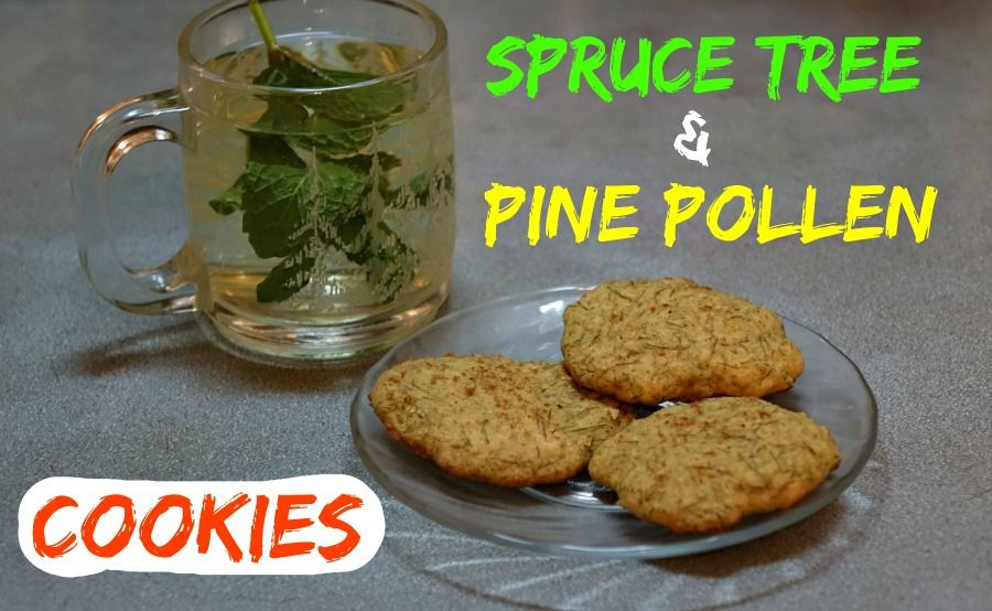 pine pollen spruce cookies 6 WEB.jpg