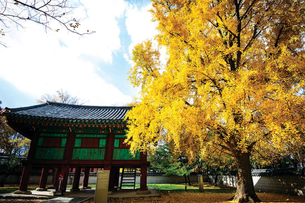 korea jeonju 1.jpg