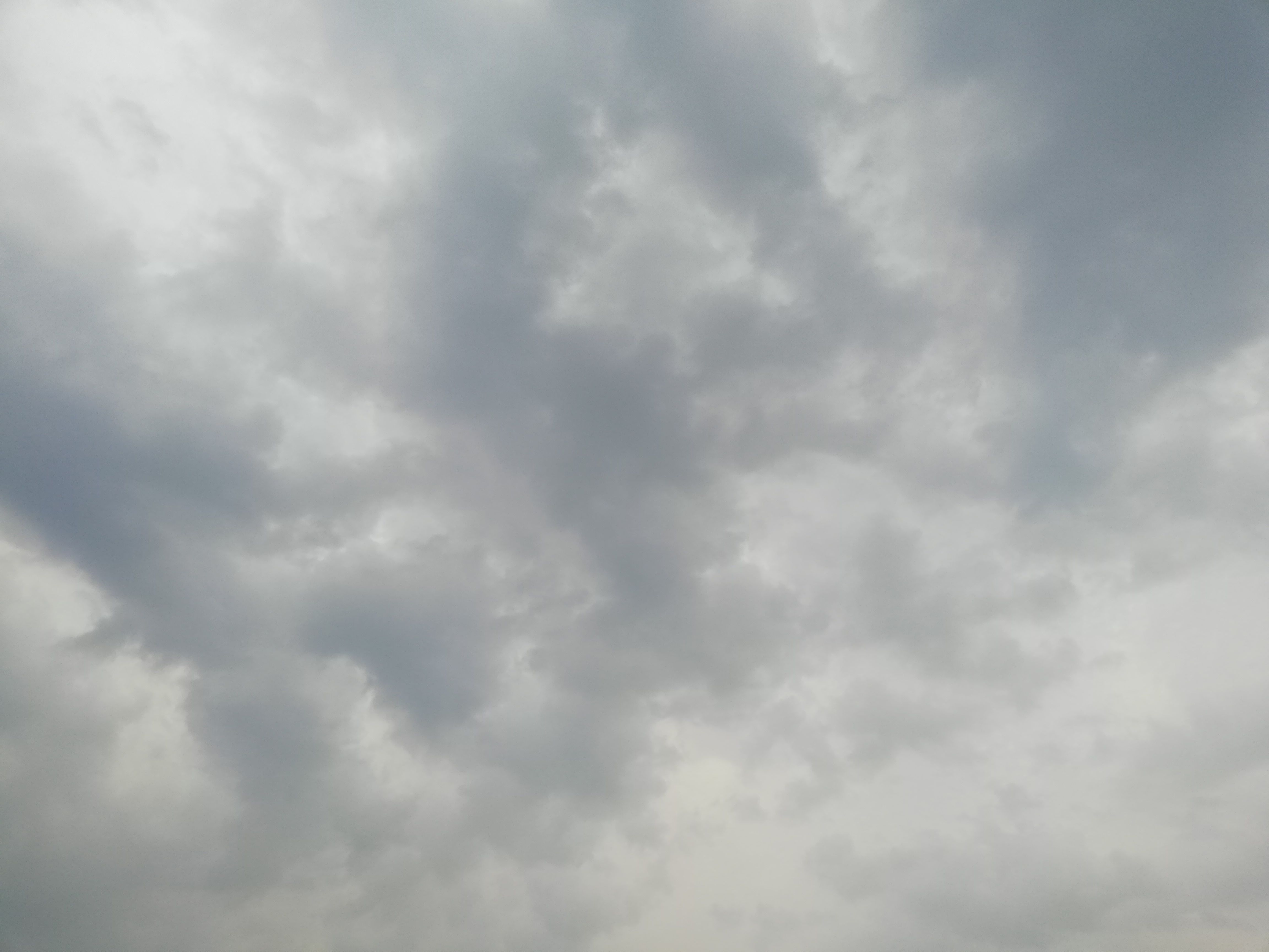 IMG_20180502_151352.jpg