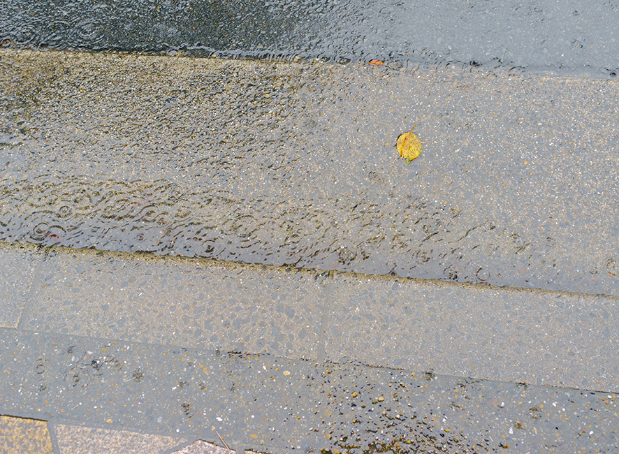 rain1.jpg