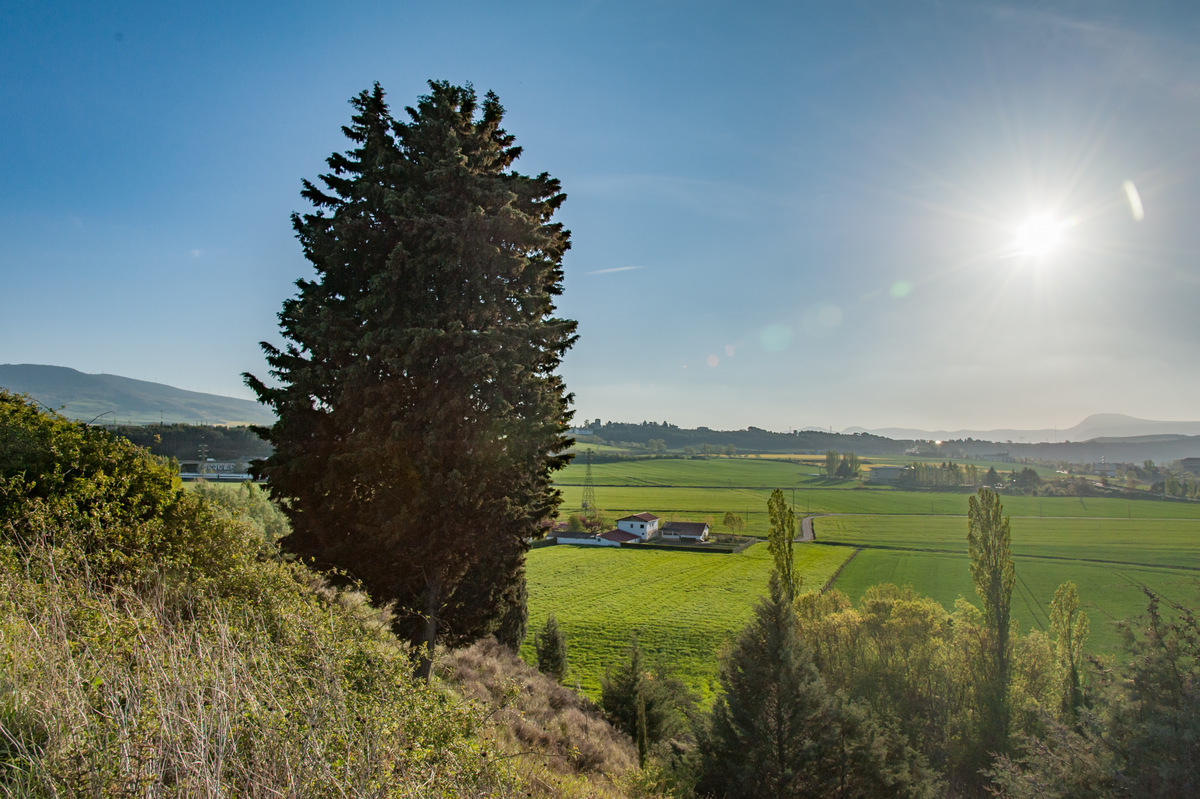 DSC_4001.jpg