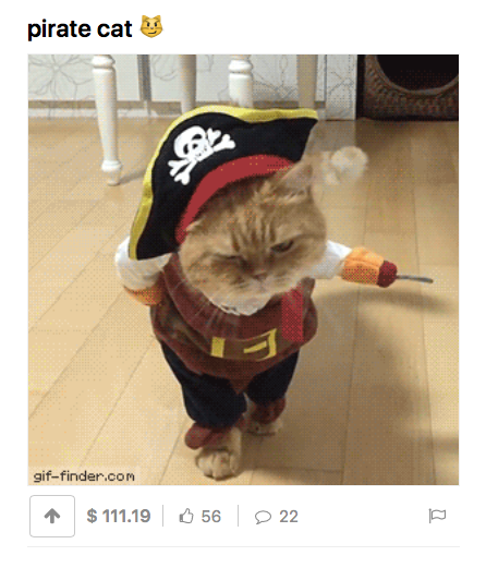 Pirate Cat—dMania.png