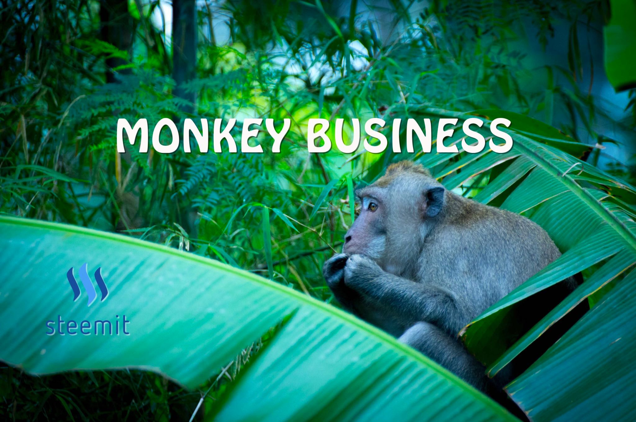 monkey business.jpg