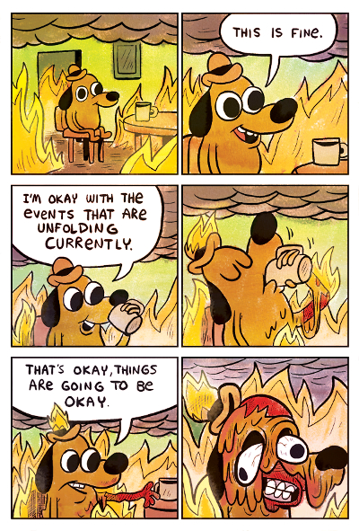 this is fine.jpeg