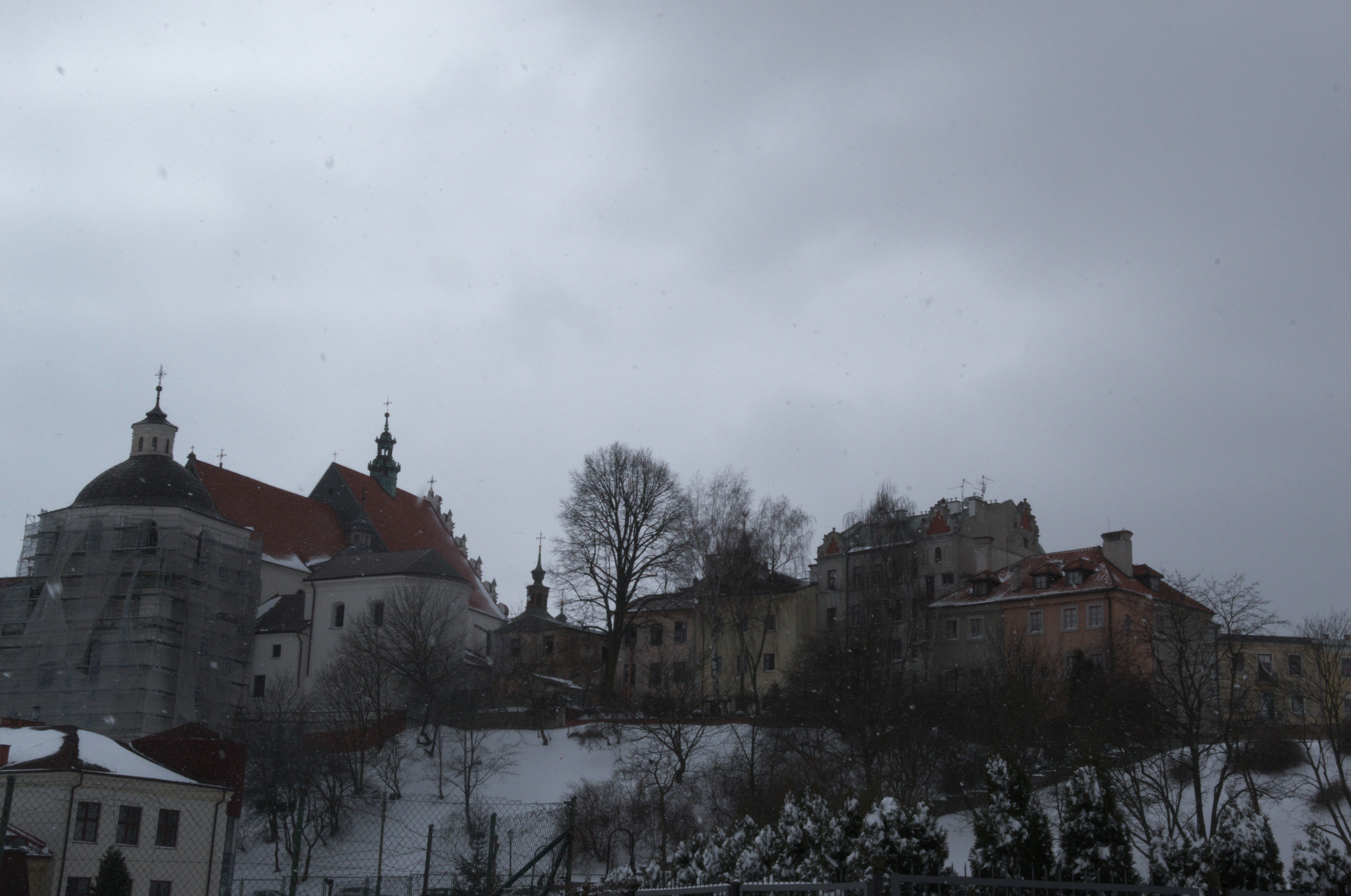 DSC_0433.NEF.jpg