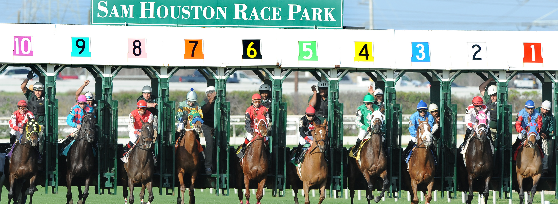 Turf-Course-Start-TB-2014-b6fb28e915.png