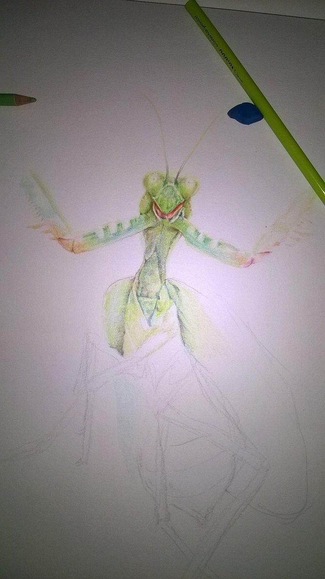 mantiswip2.jpg