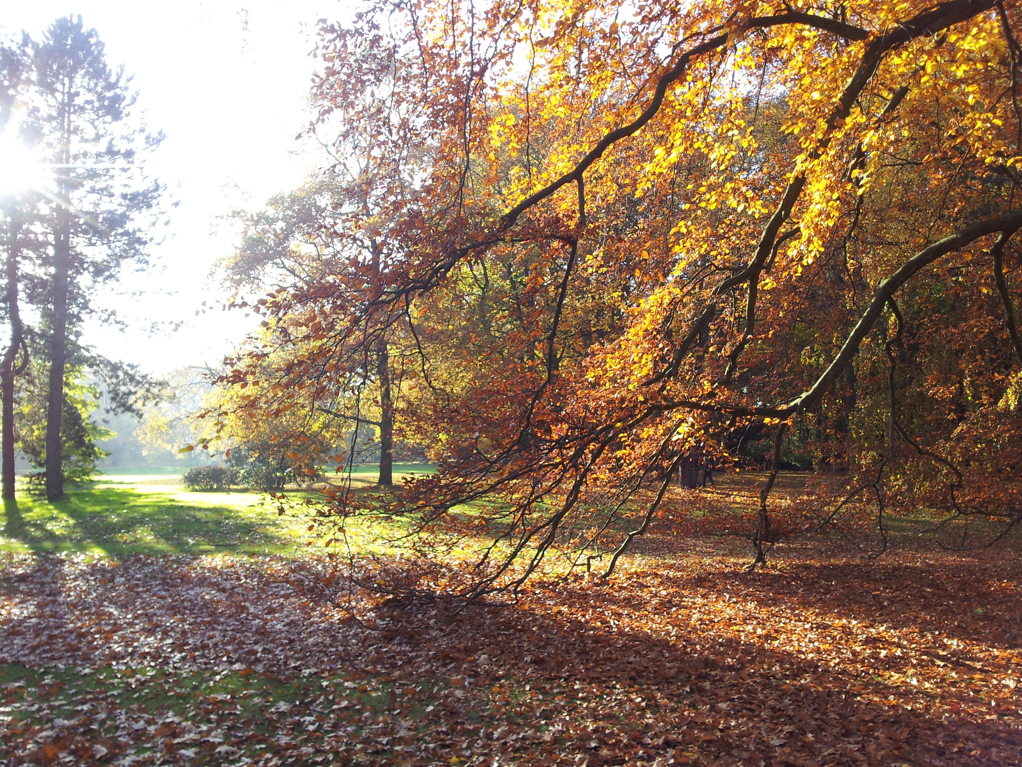  Im Park (41).jpg