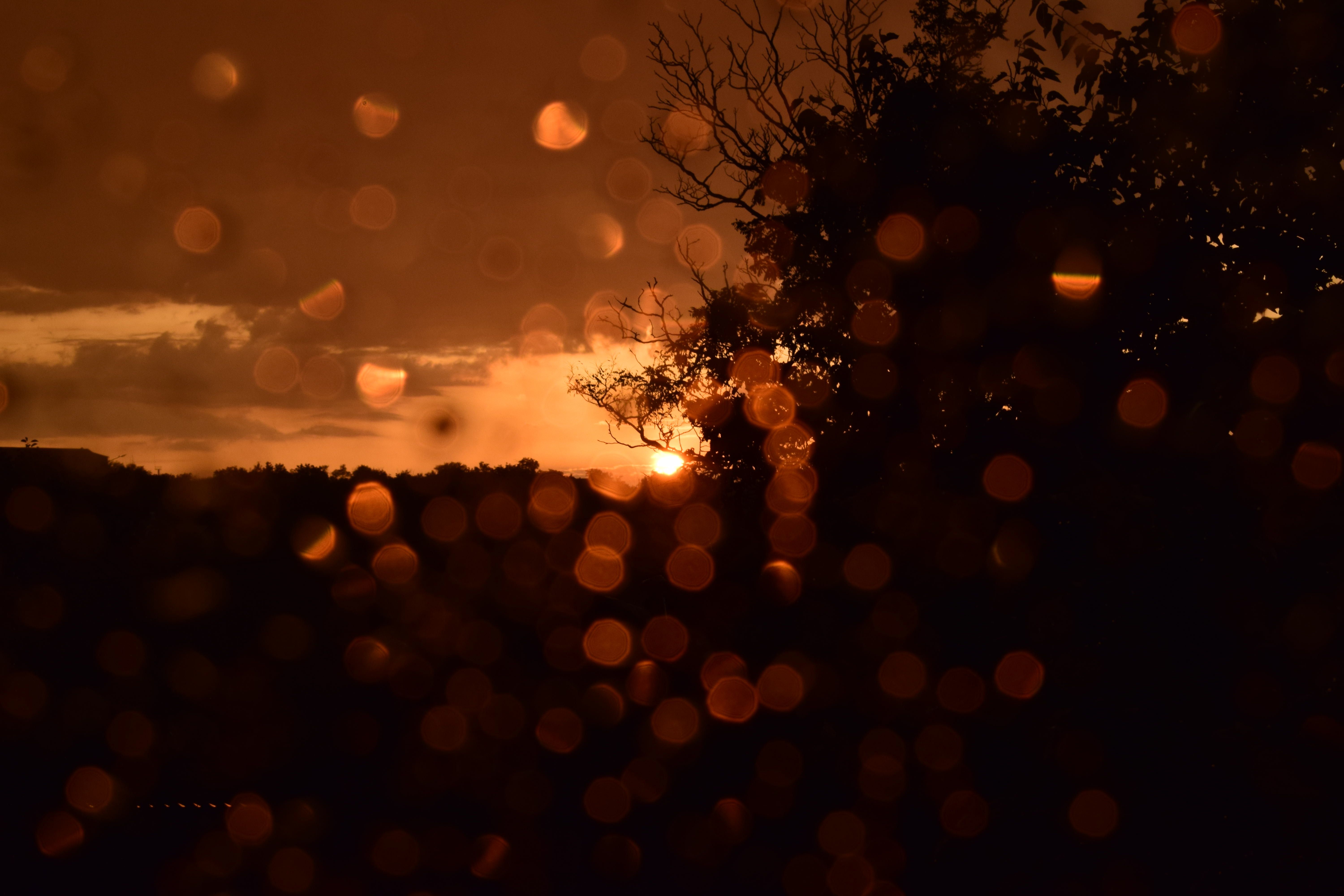 DSC_0501.jpg