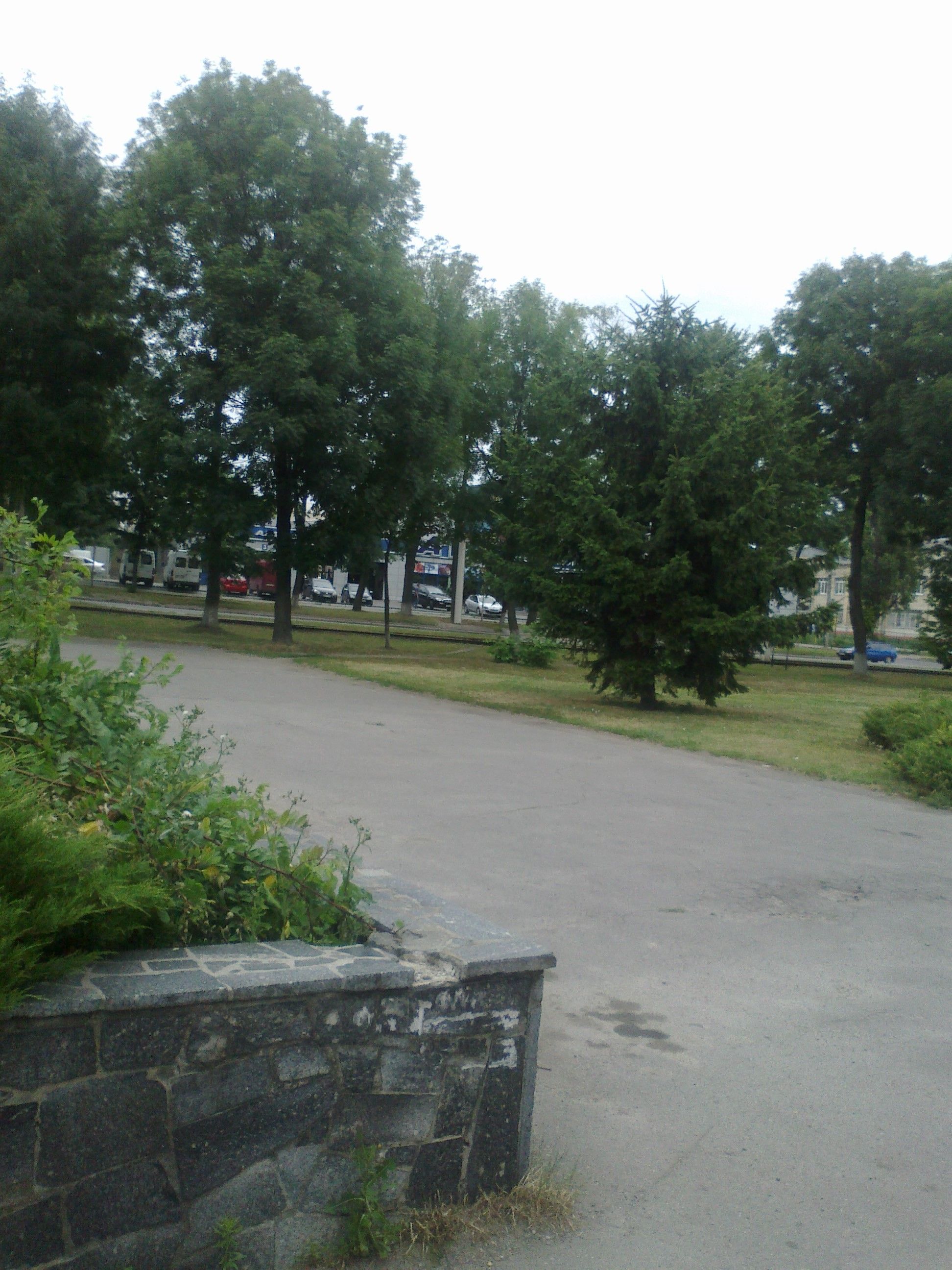 08072017918.jpg