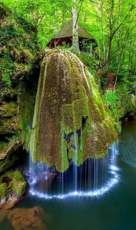 FB_IMG_1503416607177.jpg