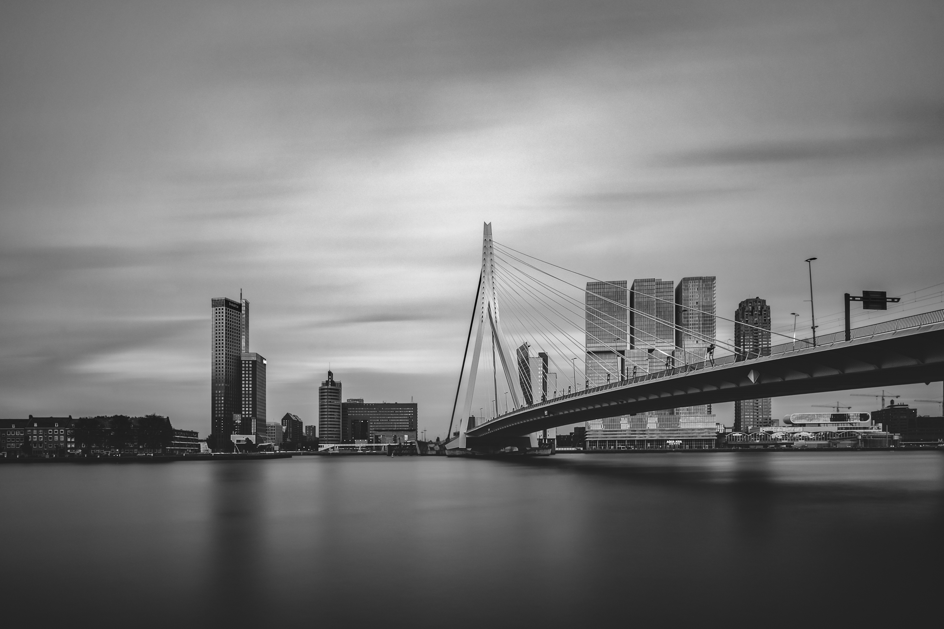 Rotterdam_b&w_small.jpg