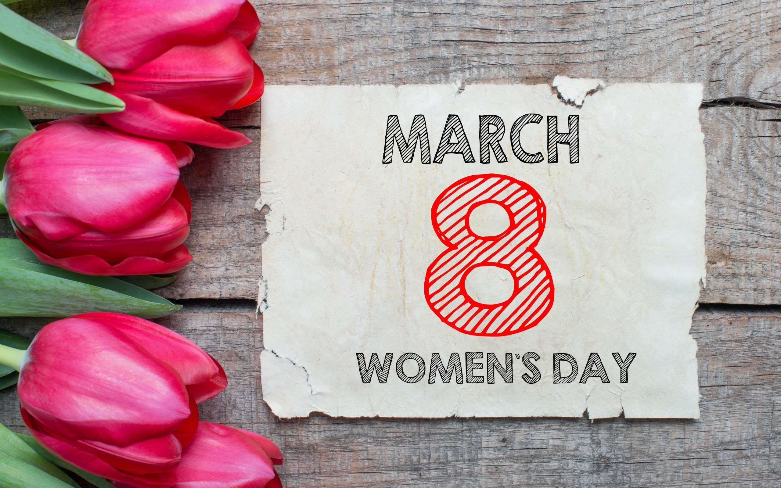 march-8-women's-day-tulips-pink-tulips-8-march.jpg