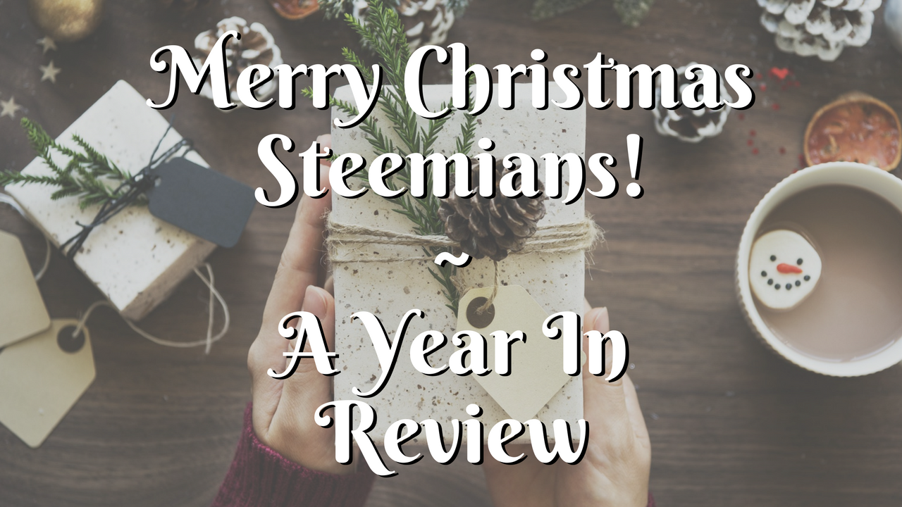 Merry Christmas Steemians! ~ A Year In Review.png