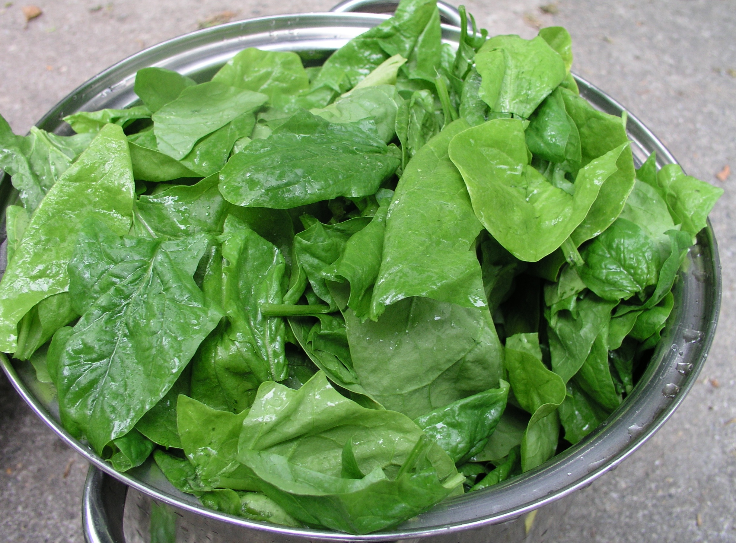 Spinach_leaves.jpg