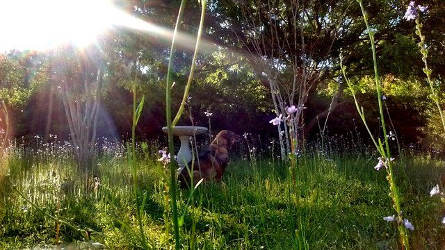 rsz_img_20180322_234049.jpg