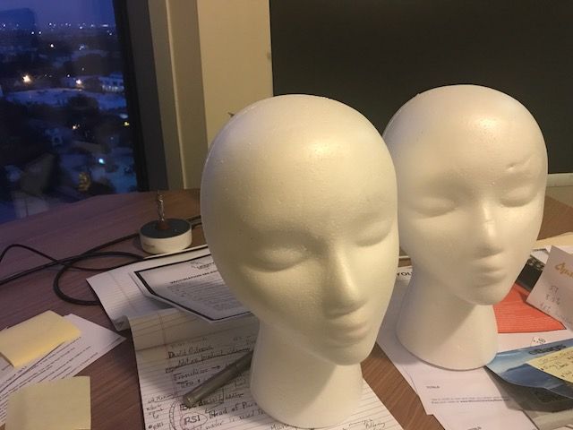 Styrofoam heads.JPG