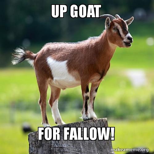 up-goat-for-1-1.jpg