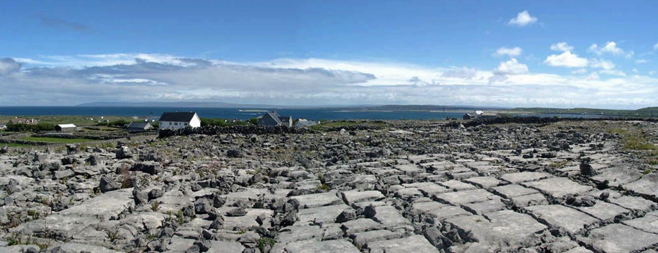 2 burren.JPG