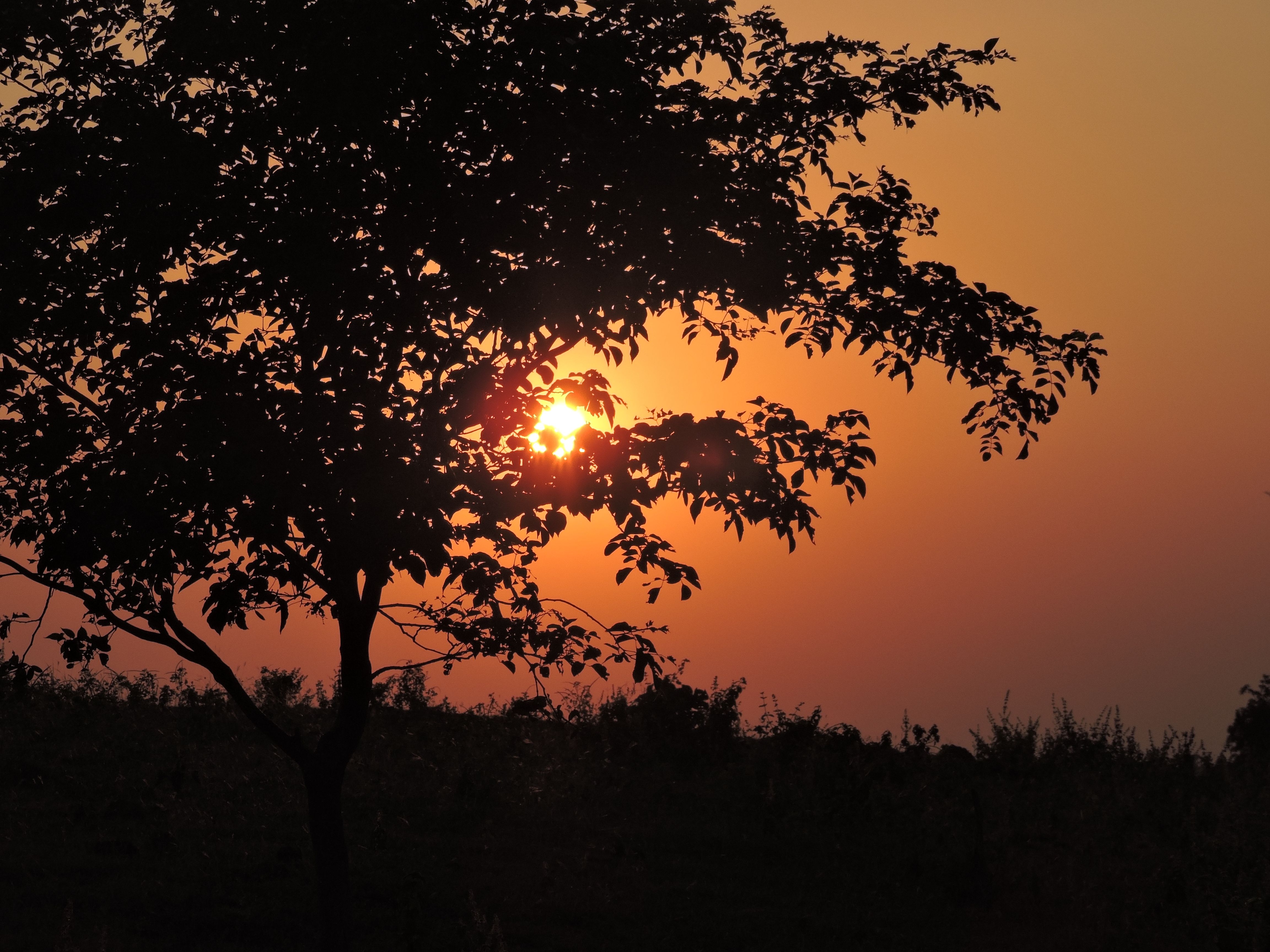 DSCN7904.JPG