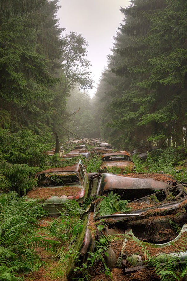 chatillon-car-graveyard-abandoned-cars-cemetery-belgium-4.jpg