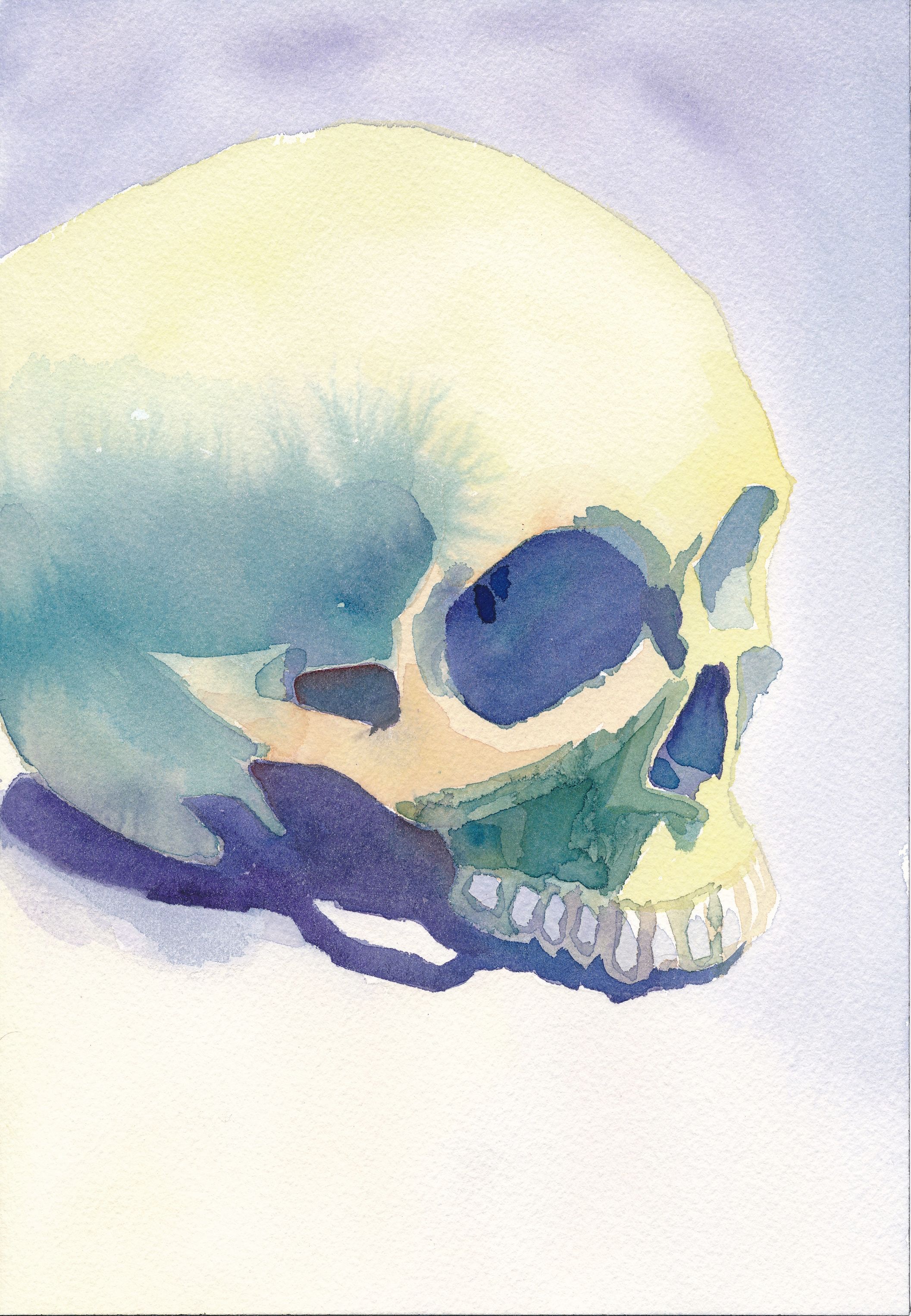 Skullwatercolor.jpg