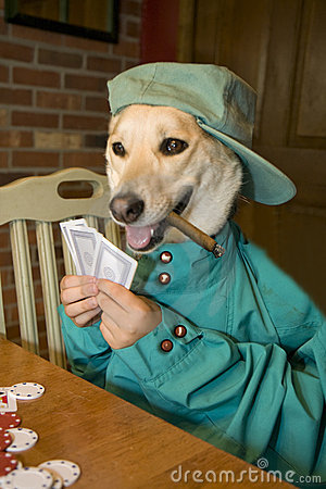 Poker Dog.jpg