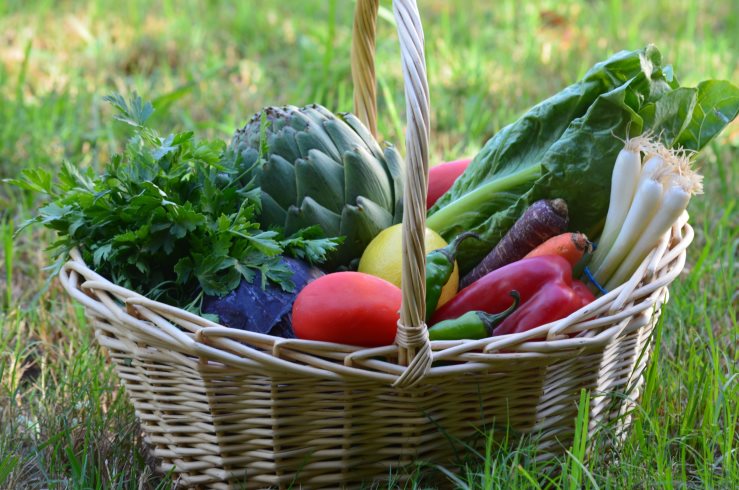 plant-fruit-flower-food-produce-vegetable-natural-garden-healthy-vegan-vegetarian-organic-flowering-plant-land-plant-484803.jpg