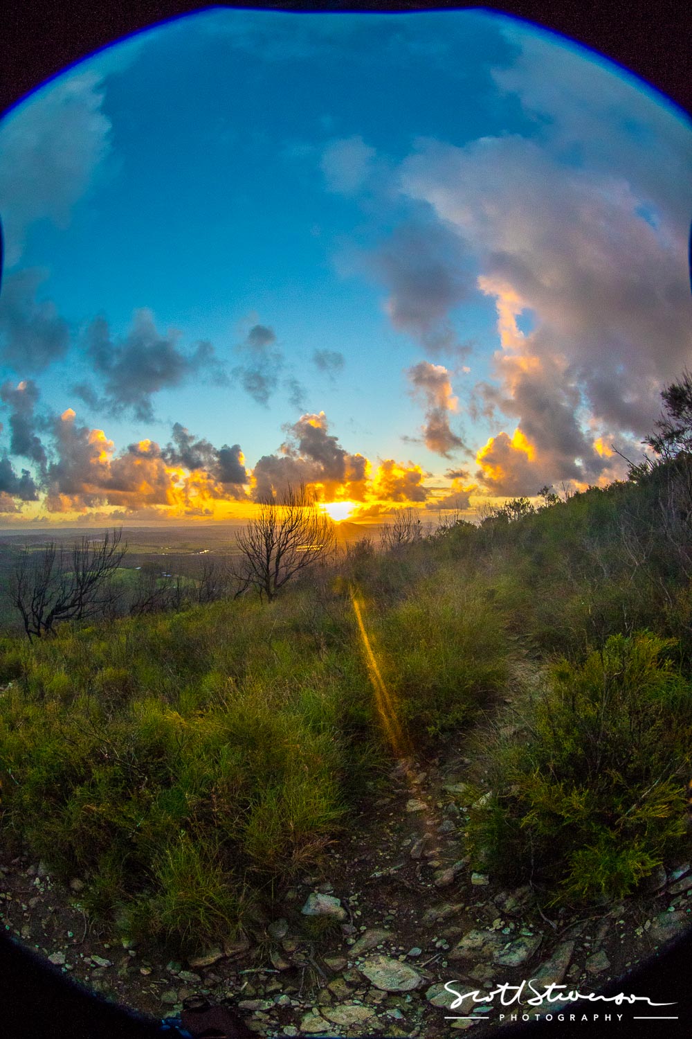 Mount Coolum-2.jpg