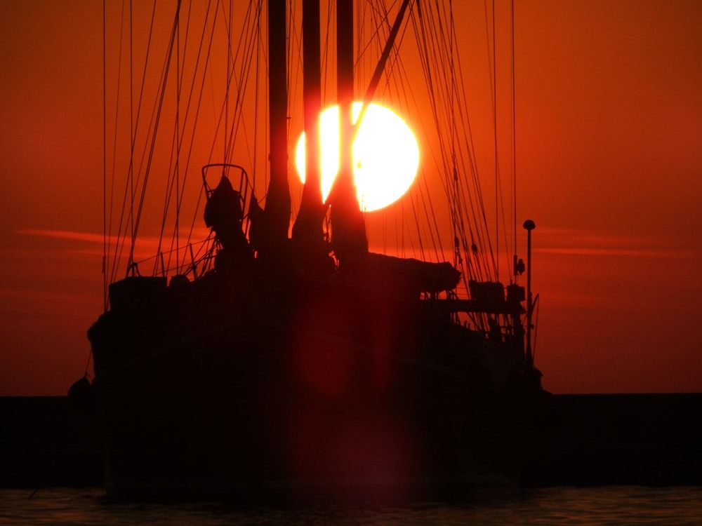 Sun throughthe masts.JPG