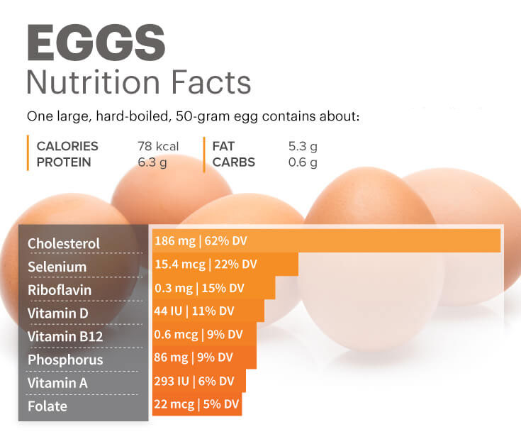 EggNutrition.jpg