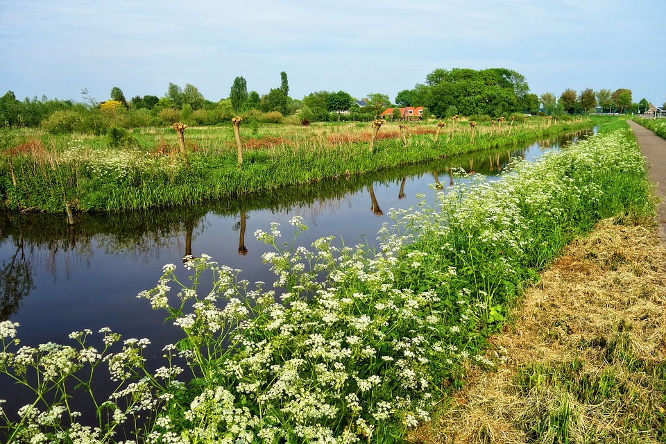 Rural-Waterway-Field-Banks-Farm-Pollard-3395233.jpg