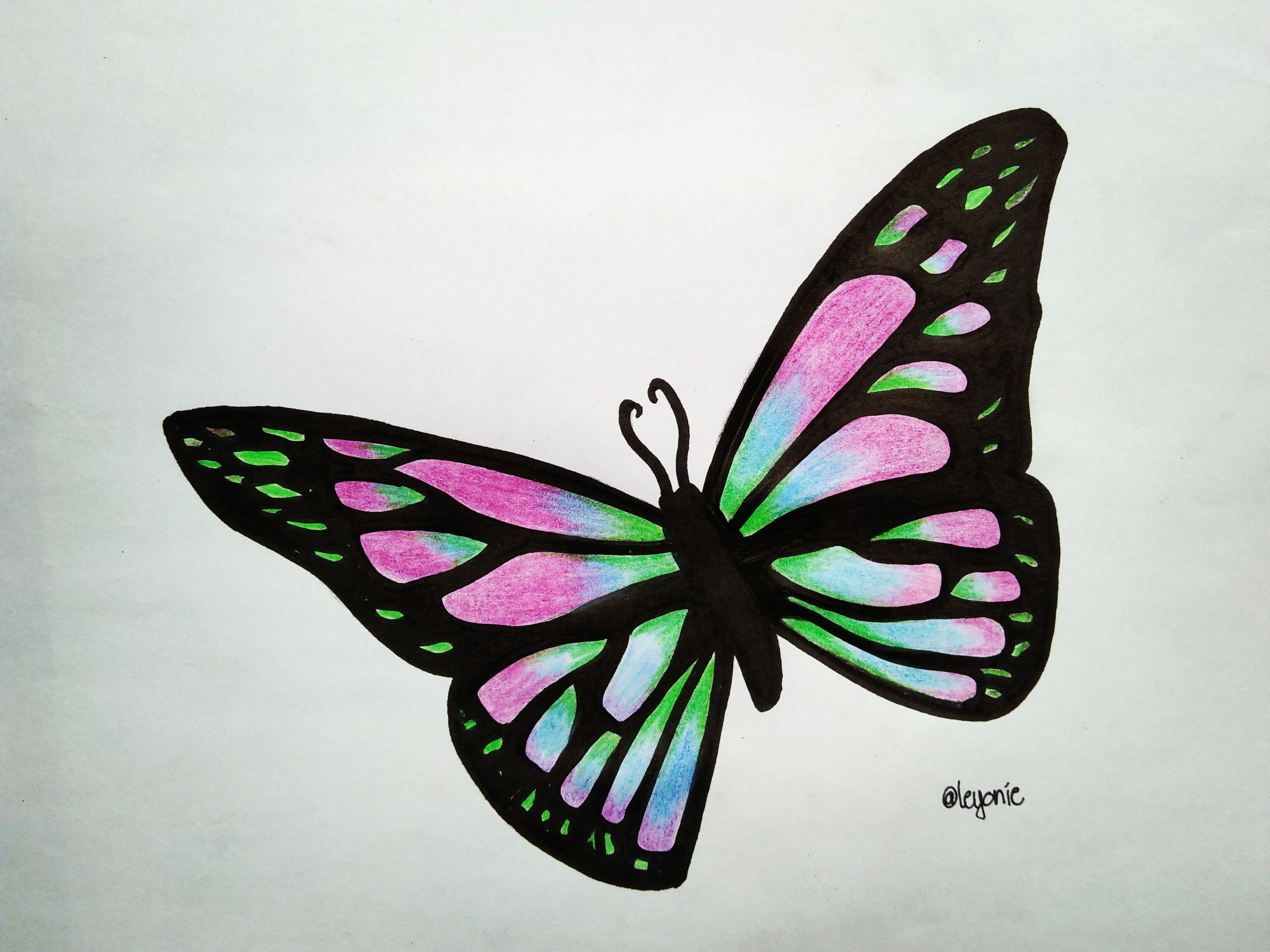 Simple Drawing Designs On A Butterfly - Image to u